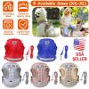 Pet Mesh Harness Dog Leash Set Reflective Chest Strap Adjustable Puppy Vest For Puppies Breeds Dogs Cats Walking Outdoor