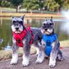 Venture Paw Pull Control Dog Harness